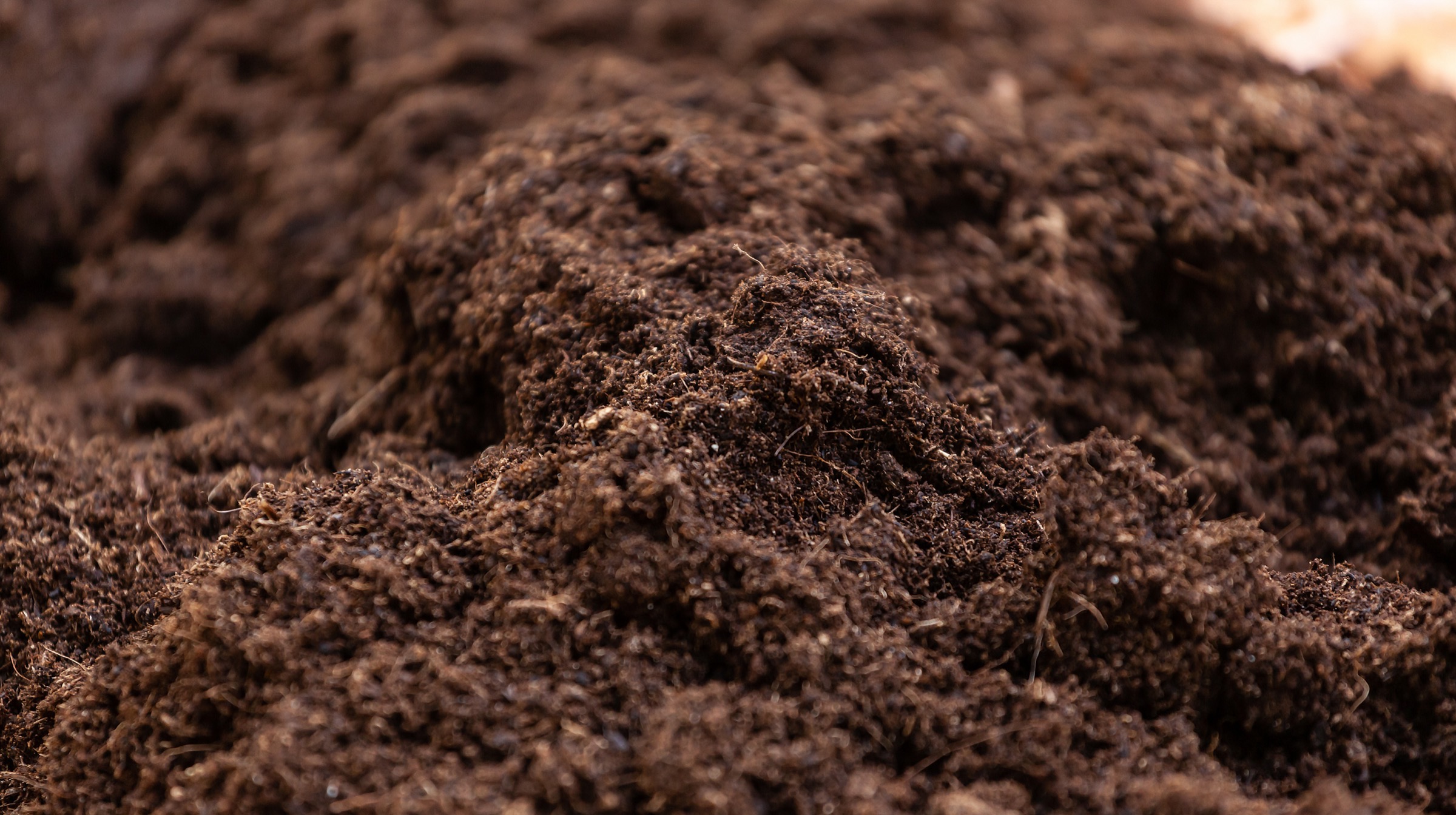 Gartenkompost – Natürlicher Bodenverbesserer für Ihren Garten